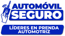 COmp chicho LOGO-AUTOMOVIL-SEGURO
